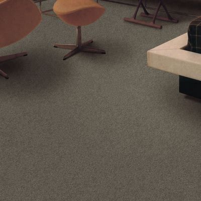 3.66m Largeur 7mm Hauteur de pile Coupe boucle Paroi à paroi Rouleau de tapis pour les chambres d'hôtel Salons Chambres à coucher Matériau PP