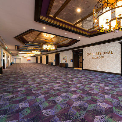 TAPETTE AXMINSTER fabriquée à la machine pour salle de cinéma salle de banquet et tapis muraux