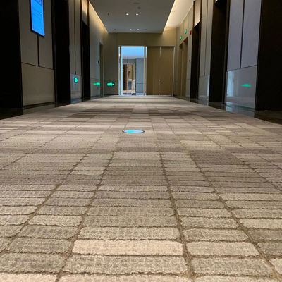 Tapis en laine tuftée à la main pour salon décoratif dans l'intérieur commercial